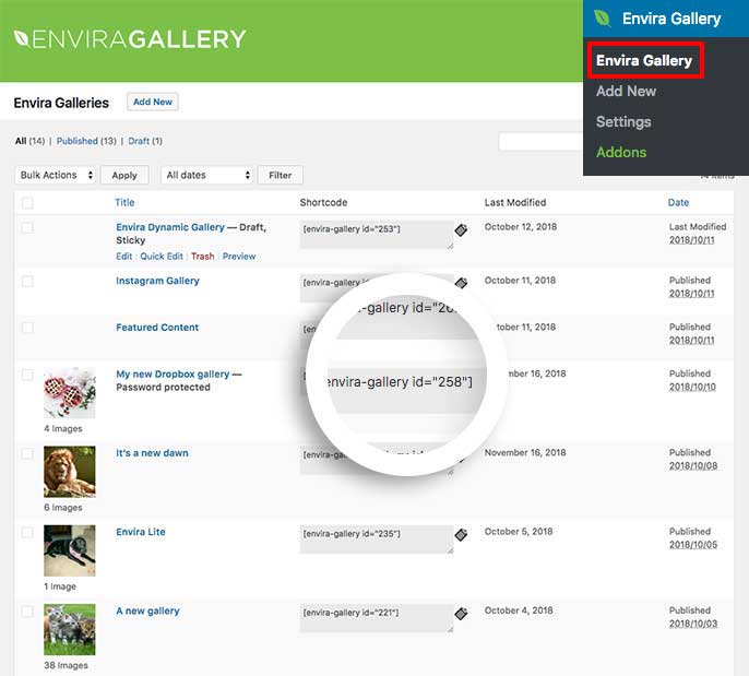 Get the Envira Gallery ID number