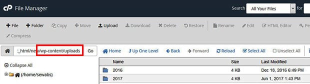 cPanel Directory