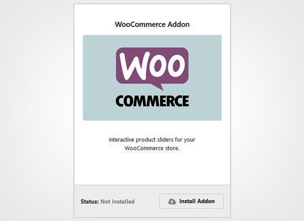 WooCommerce Addon