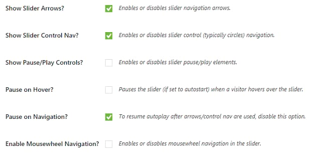 A list of some of the Soliloquy slider navigation settings