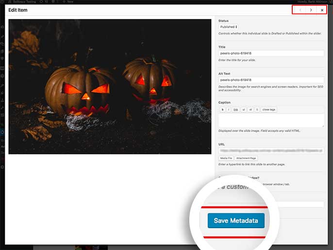 Click Save Metadata to save any changes made to the slider image