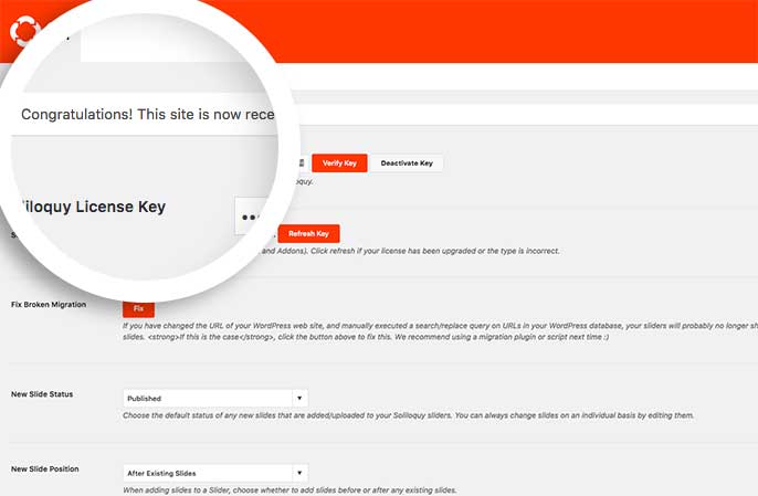 After pasting your license key into the provided field, select the Verify Key button to proceed.