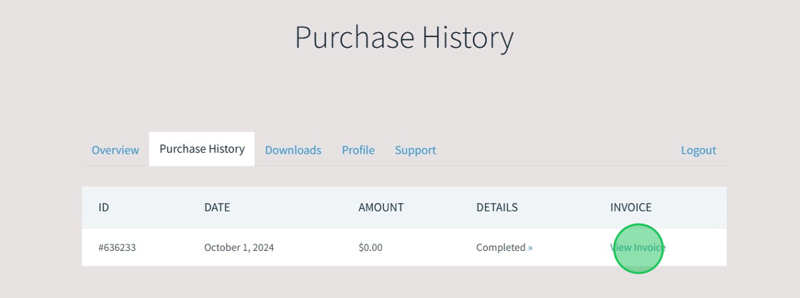 Click View Invoice