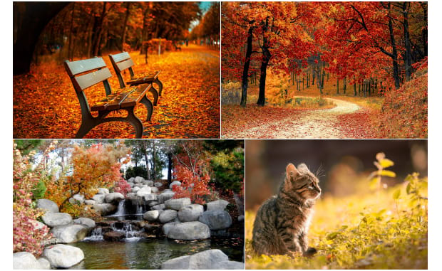 A gallery of beautiful scenic images of nature in fall