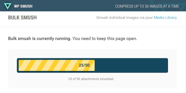 WP Smush's progress bar, half full