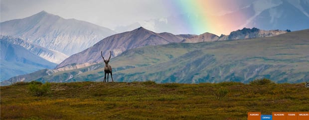 A deer standing on a hill, with a snowy mountain range and a rainbow in the background