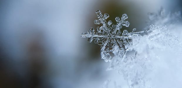 snowflake twitter headers