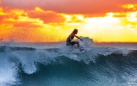 surfer-wave-sunset-the-indian-ocean-390051