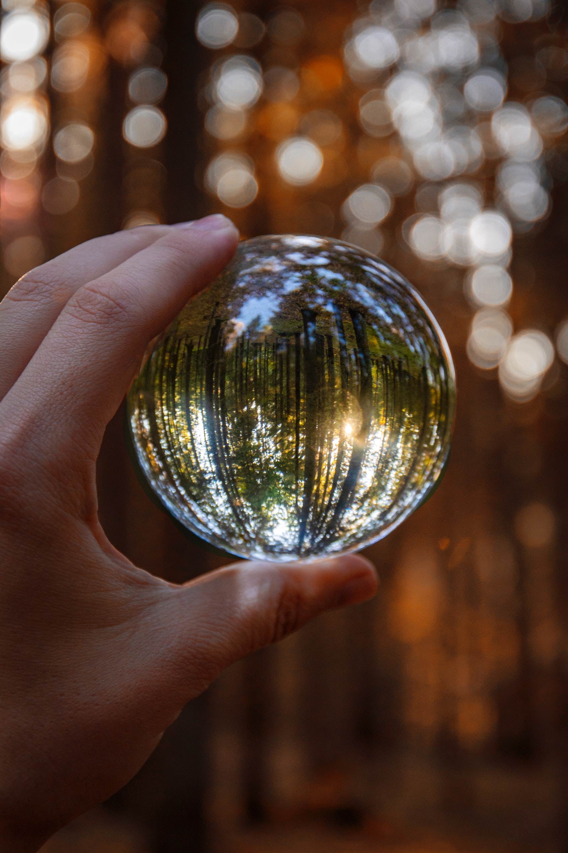 ball-blur-close-up-1547812