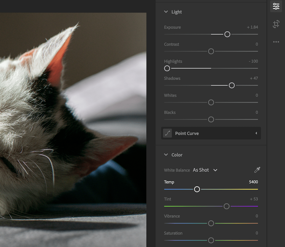 The Adobe Lightroom Light and Color sliders.