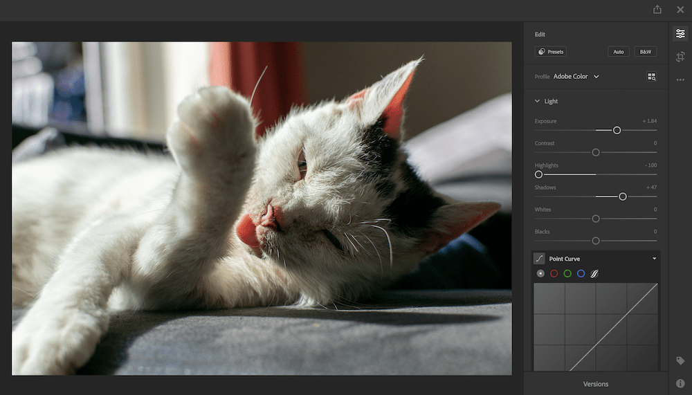 The Adobe Lightroom web interface.