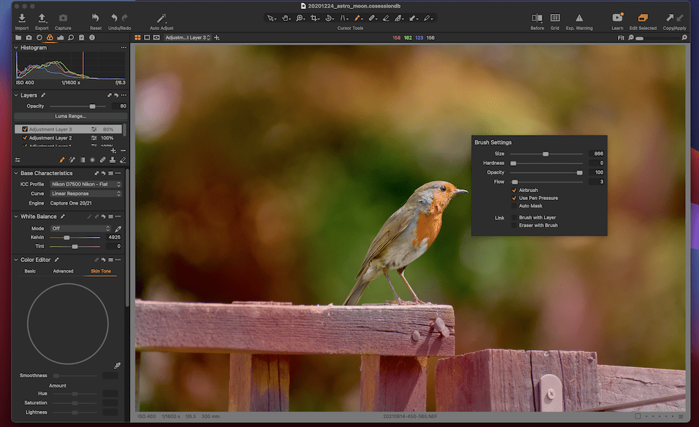 Using brush tools in Capture One.