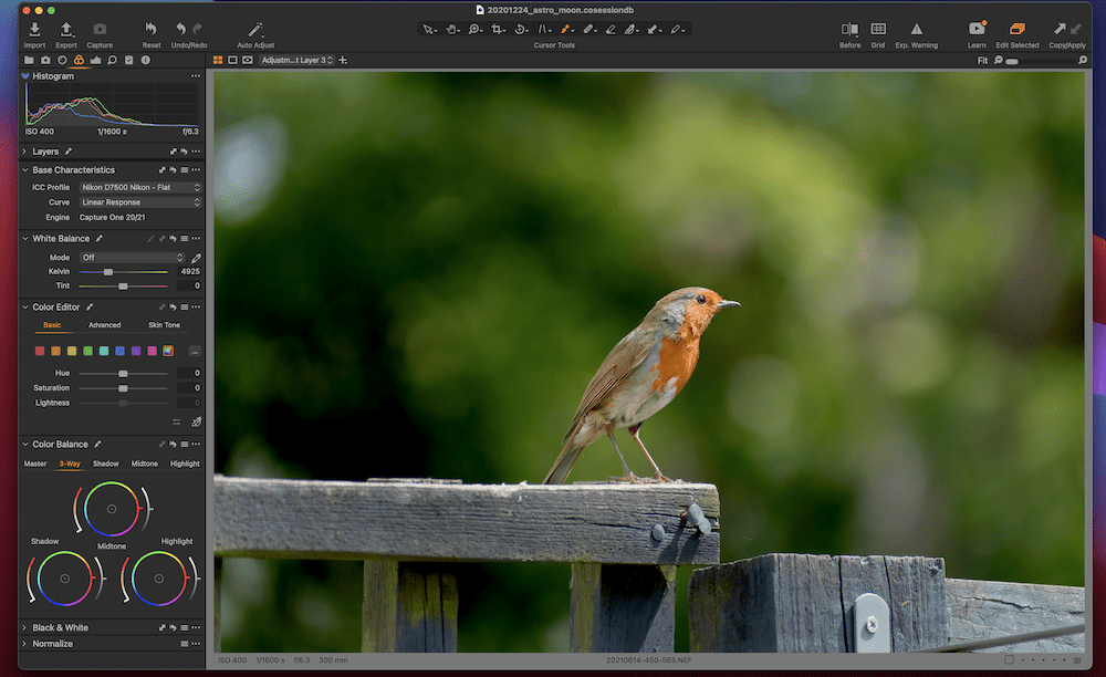 Using the color tools in Capture One.
