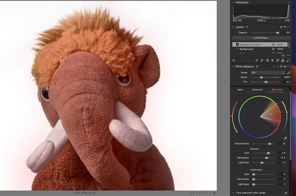 Working with skin tones in Capture One.