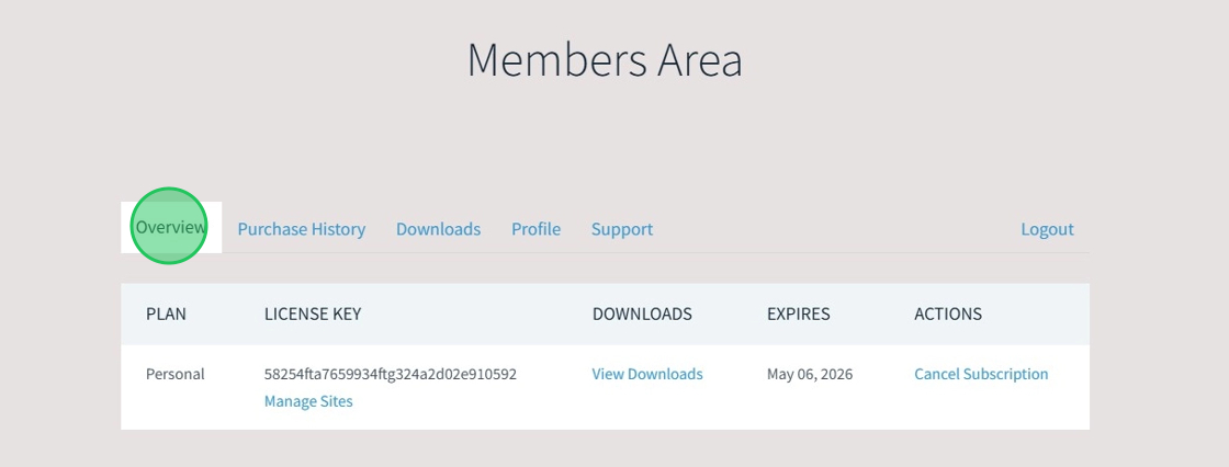 Click Overview Tab